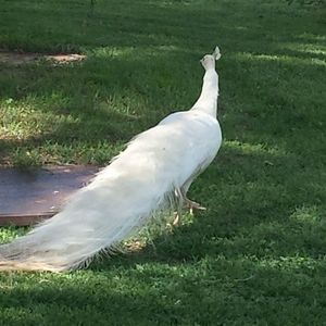 Meet your Posher, Marilyn